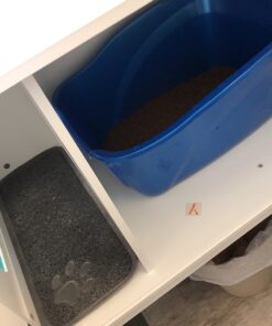 Van Ness Pets Large Open High Sided Cat Litter Box, Blue, CP2HS Pack of 1 37 61a9zdEt7aL