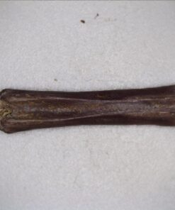 Celestron - 5 MP Digital Microscope Pro - Handheld USB Microscope Compatible with Windows PC and Mac - 20x-200x Magnification - Perfect for Stamp Collecting, Coin Collecting Handheld Digital Microscope Pro 81 61aB5phtLHL