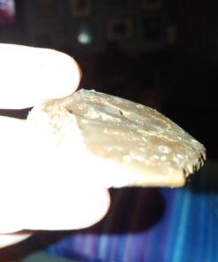 SlimFast Low Carb Chocolate Snacks, Keto Friendly for Weight Loss with 0g Added Sugar & 3g Fiber, Peanut Butter Chocolate, 14 Count Box (Packaging May Vary) Peanut Butter Snack Cup 42 61aDP2KKw3L