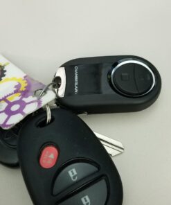 Chamberlain Group MC100-P Universal Garage Door Opener Mini Keychain Remote, Small, Black 36 61aGgdk1dSL