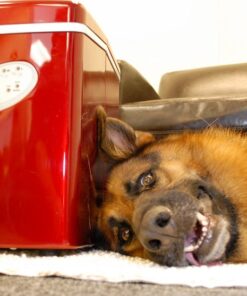 Newair Countertop Ice Maker Machine 28 lbs. of Ice in 24 Hours, Portable Design in Red with 3 Bullet Ice Cube Sizes, Convenient Rapid Ice Production, Insulated Storage 35 61aHDPfQR0L