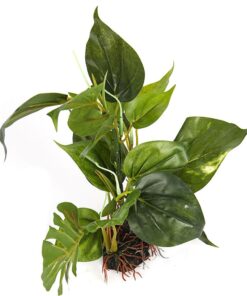 CNZ® Aquarium Fish Tank Green Lifelike Underwater Plastic Plant Aquatic Water Grass Decor (Large, 13-inch) Large, 13-inch 16 61aHZfL6clL