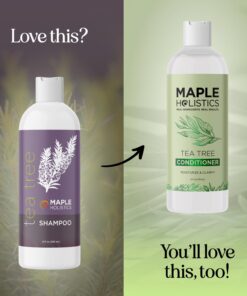 Tea Tree Shampoo for Oily Hair - Paraben and Sulfate Free Clarifying Shampoo for Build Up and Dry Scalp with Tea Tree Oil for Hair - Purifying Aromatherapy Tea Tree Oil Shampoo for Greasy Hair 19 61aKWsz 8zL