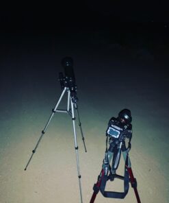 55" Tripod Q111 Travel Camera Tripod with 3-Way Pan Head and Phone Holder Mount for Gopro,Projector,Smartphones Webcam,Spotting Scopesto Live Broadcast and DSLR EOS Canon Nikon Sony Samsung(Red) 55" Red 29 61aOixRjyxL