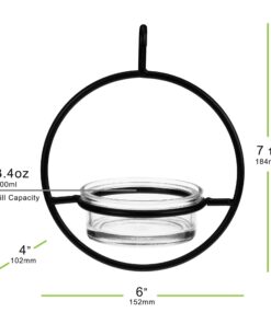 Mosaic Birds Hummble Basic Bird Feeder, M045-200, 3.4 Ounce Capacity, Clear, 1 Piece 31 61aOlXedyyL
