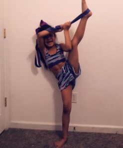 The PlumBand Stretch Band for Dance and Ballet – Colors and Sizes for Kids & Adults – Improve Your Splits, Strength, and Flexibility with Stretching – Printed Instruction Booklet and Travel Bag Plum Purple Regular 39 61aOsj12qHL