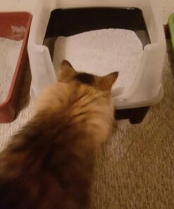 IRIS USA Open-Top Cat Litter Box with Shield and Scoop, Black Regular 36 61aPC40AML