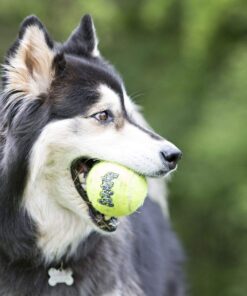 Alternative view of SqueakAir Ball Large Large (Pack of 1) Standard Packaging