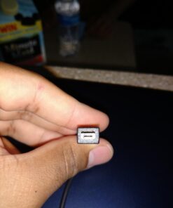 ASUS C201PA-DS02 11.6-Inch Laptop (Navy Blue) Chromebook only Navy Blue 65 61aY5ztv0PL