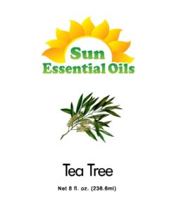 Sun Essential Oils 8oz - Tea Essential Oil - 8 Fluid Ounces Tea Tree 8 Fl Oz (Pack of 1) 8 61aZknIQSYL