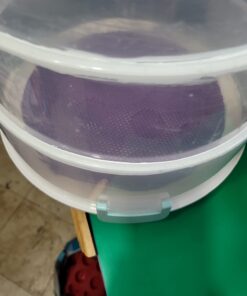 Sweet Creations 3 Tier, Collapsible Cupcake and Cakepop Display Carrier with Handel, White 42 61acDh7OaZL