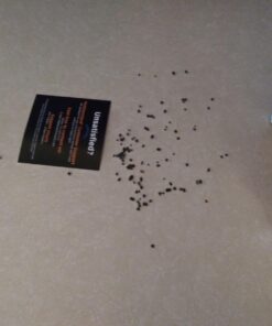 Premium Charcoal Filters for PetSafe Drinkwell 360 Fountains, Pack of 10 10 Count (Pack of 1) 12 61aiezHaQML