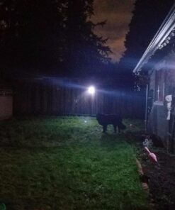 URPOWER Solar Lights Outdoor, 40 LED Motion Sensor Security Lights Solar Flood Lights Waterproof Solar Powered Outdoor Lights for Backyard, Fence, Deck, Patio, Garage (4 Pack) Medium 57 61apdqMhdML