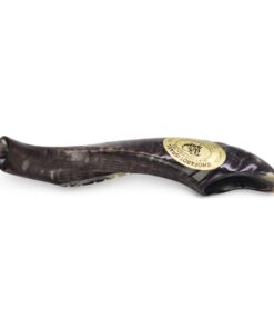 Alternative view of Kosher Shofar 9"-11" Half Polished Natural Israel New