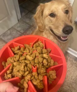 Purina Pro Plan High Protein Dog Food With Probiotics for Dogs, Shredded Blend Chicken & Rice Formula - 35 lb. Bag 35.00 Pound (Pack of 1) 33 61az4WbjkL 1