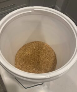 Gamma2 Seal Lid - Pet Food Storage Container Lids - Fits 3.5, 5, 6, & 7 Gallon Buckets, White, 4122E, Made in USA, Fits a 3.5 to 7 Gallon Bucket 38 61bEzXxMbZL