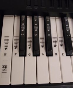 Piano and Keyboard Music Note Full Set Stickers for White and Black Keys; Transparent and Removable; Made in USA 41 61bSQgWtzcL