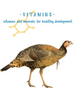 Manna Pro Gamebird Showbird Crumbles|Formulated for birds with Vitamins & Minerals|5 Pounds 5 Pound (Pack of 1) 29 61bYPBT059L 2