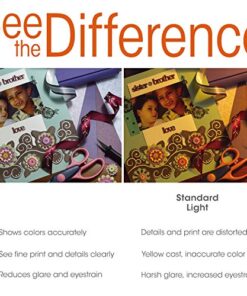 OttLite PL18-B-FFP Tube, 1 Count (Pack of 1) 4 61bnnpqShqL