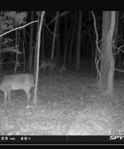 Barronett Blinds BE650BW Beast Pop Up Portable 6 Person Hunting Blind, Bloodtrail Backwoods Camo 20 61brUFKzIaL