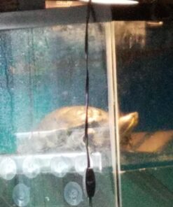 OASIS #64226 Turtle Ramp - Large 16-Inch by 11-Inch by 4-1/2-Inch, Black 49 61btUG61WrL