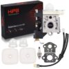 Hipa RB-K106 PB-250LN Carburetor with Repower Kit Spark Plug for Echo Leaf Blower PB250 ES-250 PB-250 PB-250LN Handheld Blower A021003661 Carb 54 61bzl69CExL