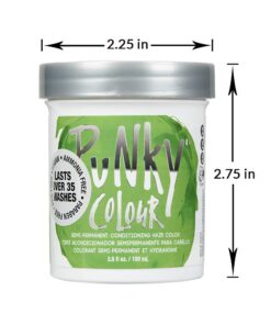 Punky Spring Green Semi Permanent Conditioning Hair Color, 3.5oz 3.5 Fl Oz (Pack of 1) 24 61c4gFPZ8wL
