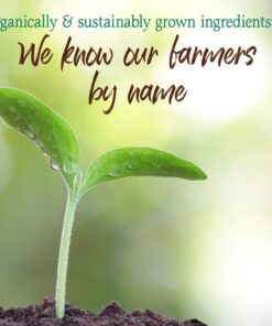 Garden of Life Raw Organic Perfect Food Green Superfood Juiced Greens Powder - Chocolate, 60 Servings, Non-GMO, Gluten Free, Vegan Whole Food Dietary Supplement, Plus Probiotics, Enzymes 60 Servings (Pack of 1) 18 61cBXQLk63L