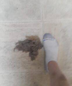 Shark NV105 Navigator Light Upright Vacuum with Large Dust Cup Capacity, Duster Crevice Tool & Upholstery Tool for Dependable Multi-Surface Cleaning, Blue Washable foam filters 34 61cCZyBaxeL