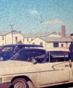 Epson Perfection V600 Color Photo, Image, Film, Negative & Document Scanner V600 - New 43 61cDCFVt1tL 2