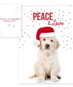 Canopy Street Labrador Love Holiday Card Pack / 25 Cards And Envelopes Pack/Festive Santa Hat Puppy Design With Greeting Inside/Dog Christmas And New Year Cards 10 61cElMPxIL