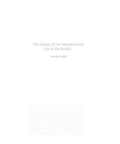 Ultimate Coloring Book Treasury: Relax, Recharge, and Refresh Yourself (Design Originals) 208 Pages of Beautiful One-Side-Only Designs on Extra-Thick, Perforated Paper in a Spiral Lay-Flat Binding 52 61cGMuVNU5L