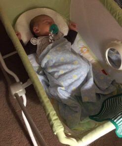 Fisher-Price Rock with Me Bassinet Green 46 61cLX76czKL