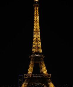 Nikon Z7 FX-Format Mirrorless Camera Body w/ NIKKOR Z 24-70mm f/4 S w/ 24-70mm Base 38 61cO7vwLcGL