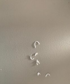 emma kites Cute Rainbow Fish Windsock Spinner Spiral 32-inch 29 61cOPh JsXL