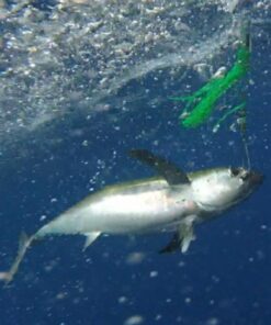 GoPro HERO Session Waterproof Digital Action Camera Camera Only 45 61cV6FQ9iFL