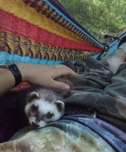 Hammocks Rada Mayan-Made Matrimonial Yucatan Hammock - Two Person Hammock - Artisan Crafted in Central America - Fits 12.5 to 13 Feet Hammock Stand - Up to 550 Pounds, Tropical Multicolor Multi Color 31 61cYu fc6L