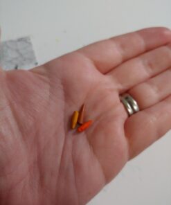 JOYSTAR Premier Colored Pencils for Adults Coloring Books, Premium Artist Pencil Set (72-Count), Handmade Canvas Wrap, Extra Accessories Included, Holiday Gift, Oil based Color Pencils 33 61cbBNI9goL