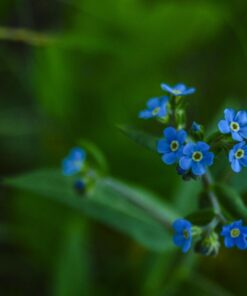 Nikon D3200 24.2 MP CMOS Digital SLR with 18-55mm f/3.5-5.6 Auto Focus-S DX VR NIKKOR Zoom Lens (Black) (OLD MODEL) Black w/ 18-55mm Base 61 61cewVoitmL