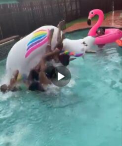 GoFloats Giant Inflatable Pool Floats - Choose Unicorn, Dragon, Flamingo, Swan, or Bull - Includes Drink Float 46 61ci0IZ4kRL