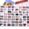Geosciences Industries 13357 Introductory Earth Science Classroom Rocks and Minerals Collection 11 61cijOGsdTL