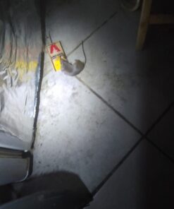 Victor 100061105 TRAP-4/PACK Easy Set Mouse Trap (4 Pack) 12 61cnaZV3HrL