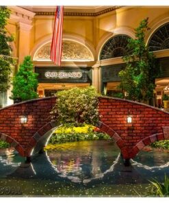 Nikon D3200 24.2 MP CMOS Digital SLR with 18-55mm f/3.5-5.6 Auto Focus-S DX VR NIKKOR Zoom Lens (Black) (OLD MODEL) Black w/ 18-55mm Base 49 61d5i vsXxL