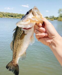 Entsport E Series - Camo Legend 2-Piece 7-Feet Casting Rod 24 Ton Carbon Fiber Baitcasting with 2 Tips - Medium and Medium Heavy Portable Bass Fishing Rod Baitcaster 56 61d6TZxRDBL