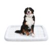 Amazon Basics 35-Inch Padded, Dog & Pet Bolster Bed, White, 35.04"L x 22.05"W x 2.76"H 35.0"L x 22.1"W x 2.8"Th 47 61d7fH2vJzL