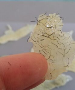 Gigi Brazilian Waxing Kit, 14 Ounce Brazilian Essentials 38 61d8xfUH9mL