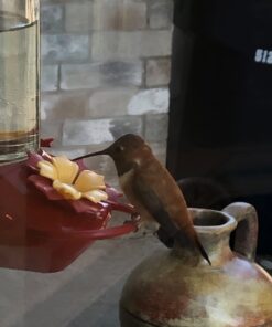 Perky-Pet Hummingbird Liquid Nectar Concentrate - 32 oz Concentrate - Makes 128 oz of Hummingbird Food Nectar Suet 32 Fl Oz (Pack of 1) 18 61d9Cx7mMUL