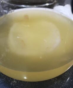 Jun Kombucha Starter Culture - USDA Certified Organic Jun SCOBY & Starter Tea - Makes 1 Gallon - Brewed with Organic Green Tea & Honey - Brew Jun Tea! 34 61dCYmnJNNL