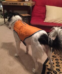 Kurgo Loft Dog Jacket, Reversible Dog Coat, Wear with Harness or Sweater, Water Resistant, Reflective, Winter Coat For Medium Dogs (Coastal Blue, M) Coastal Blue/Orange 41 61dERzY lL