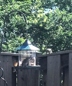 Ogrmar Hanging Gazebo Wild Bird Feeder -Perfect for Garden Decoration and Bird Watching for Bird Lover and Kids (Green) 42 61dEzKAyiFL